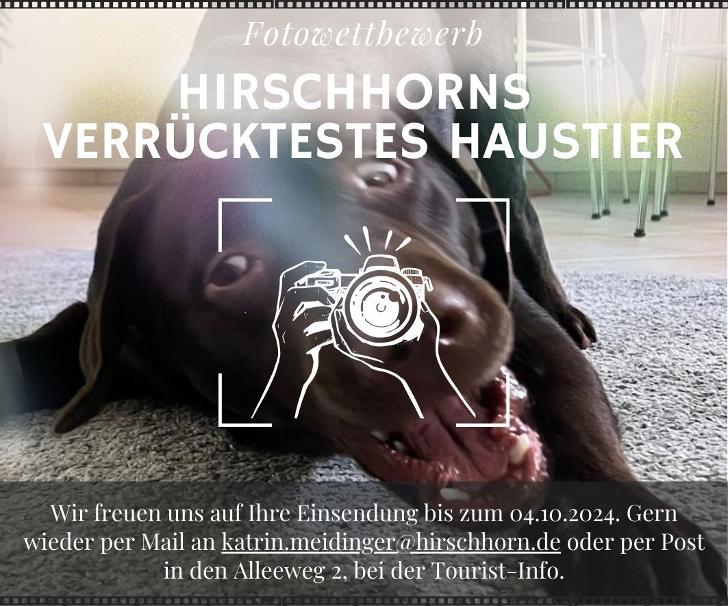 Fotowettbewerb_Haustier - 1