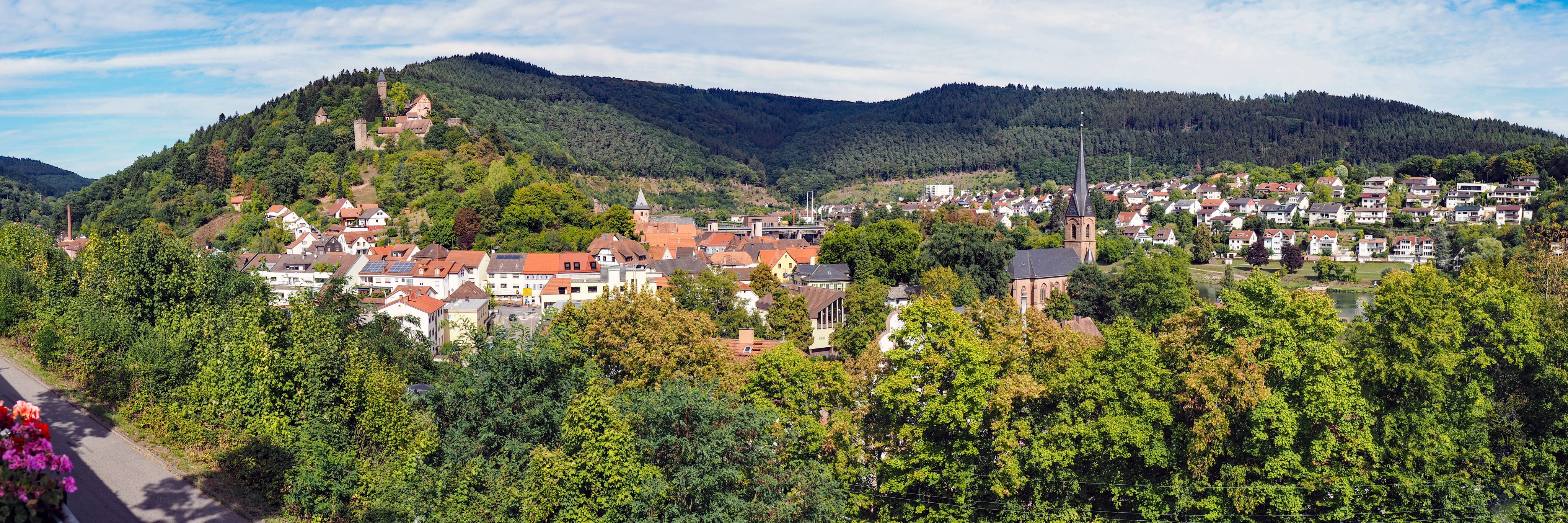 Leben & Wohnen Stadt Hirschhorn