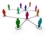 3d network team color 3d network team color