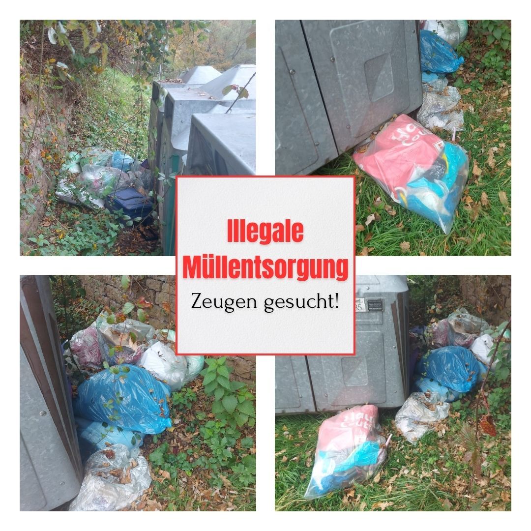 Illegale Müllentsorgung Zeugen gesucht! - 1
